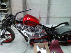 Harley Jean 2